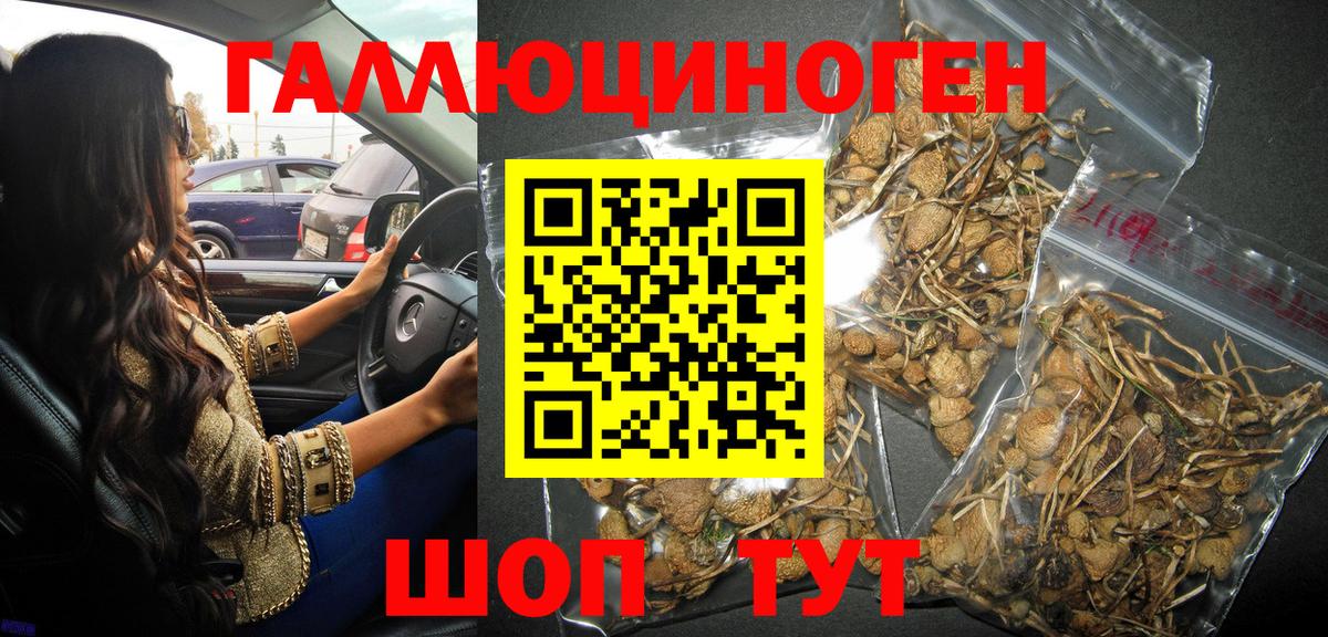 Псилоцибиновые грибы Magic Shrooms  Вход с VPN  Прохладный 
