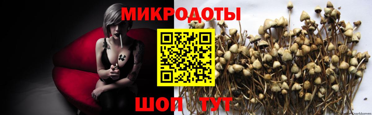 Псилоцибиновые грибы прущие грибы Прохладный