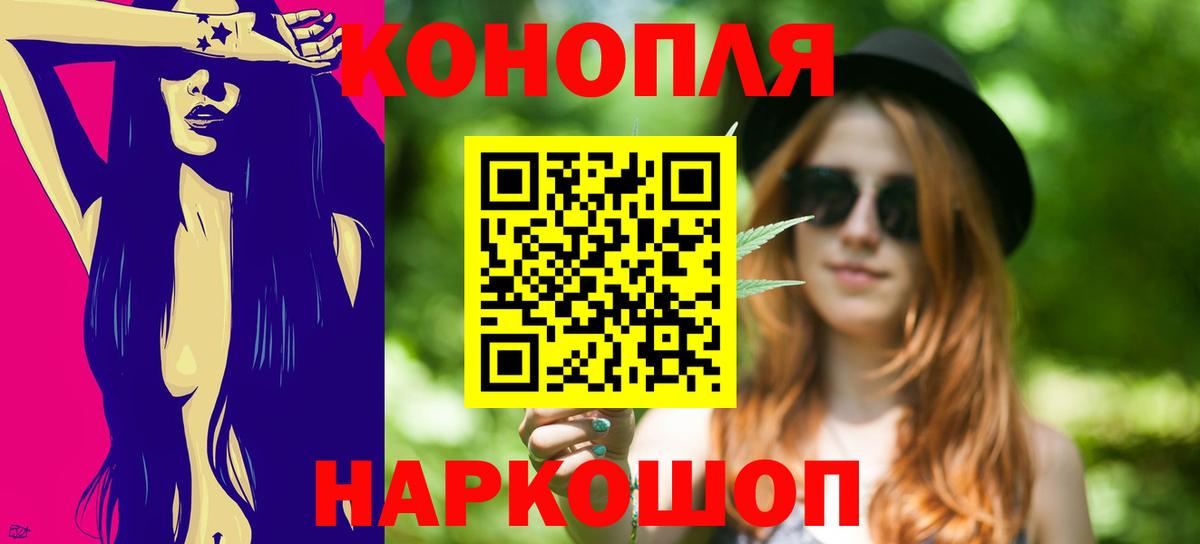 Конопля планчик Прохладный